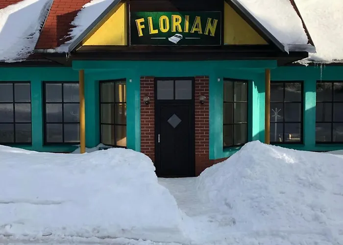 Florian Penzion Moldava